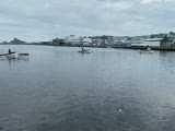 予選Dレース